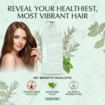 Rosemary Mint Conditioner - Image 4